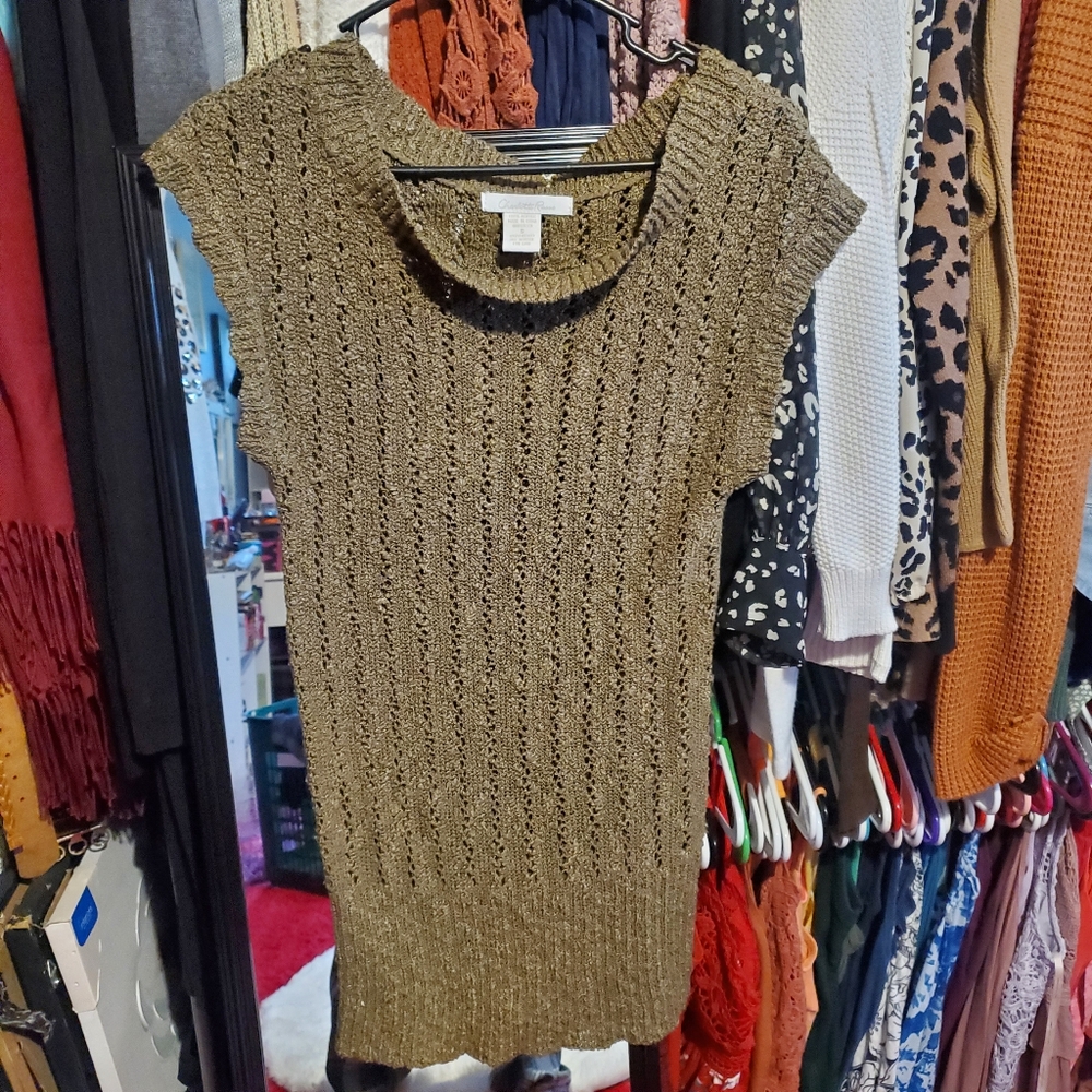 Small Brown Charlotte Russe Short Sleeve Sweater Dress